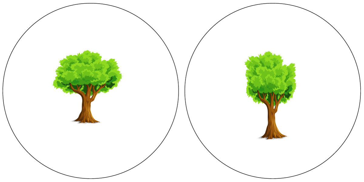 Astigmatism